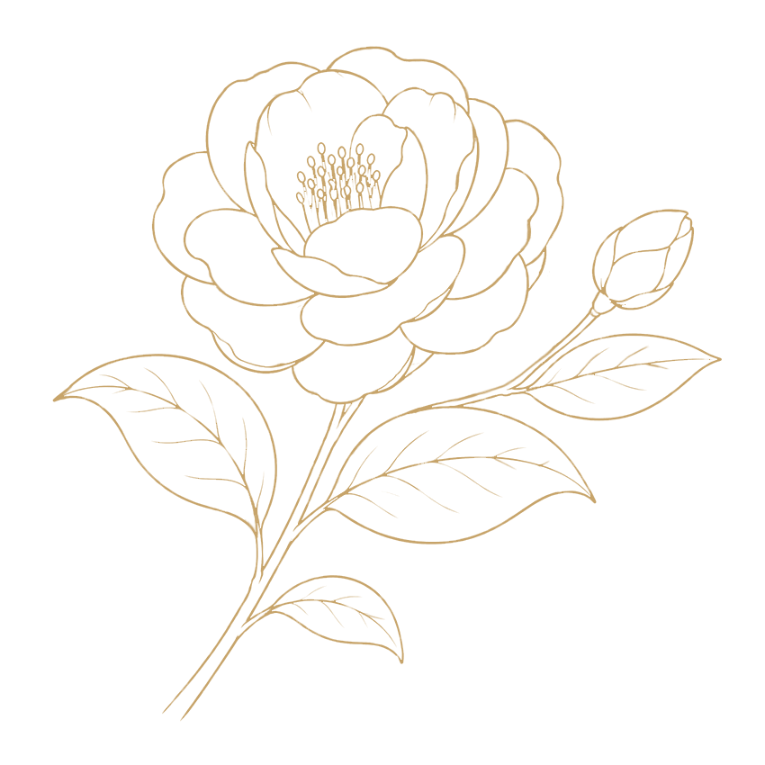 Kamelienblüte